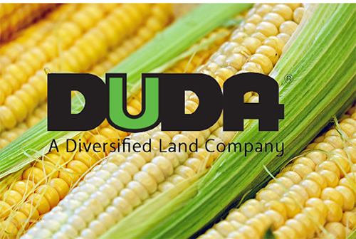 Duda Logo | A Diversified Land Company